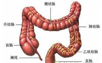 泉州哪些方法能检查结肠炎?